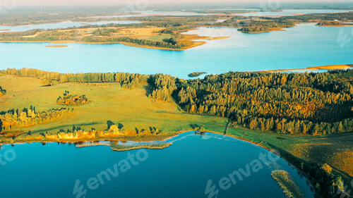 Preview: Aerial View Of Lake And Green Forest Landscape In Sunny Summer