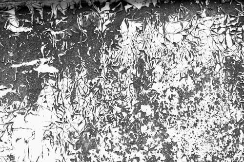 Preview: Paint splatter contrast black and white background