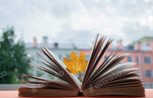 Preview: An open book, between the sheets which seemed stuck bright yellow dried maple leaf