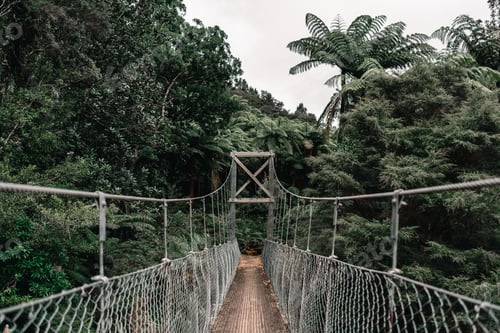 Preview: long narrow suspension walkway with metal supports and wooden slat pillars crossing between forest