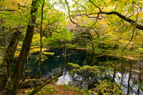 Preview: Lake pond in autumn season