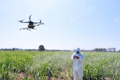 Preview: Farmer fly drone spray insecticide using high technology increasing productivity agriculture