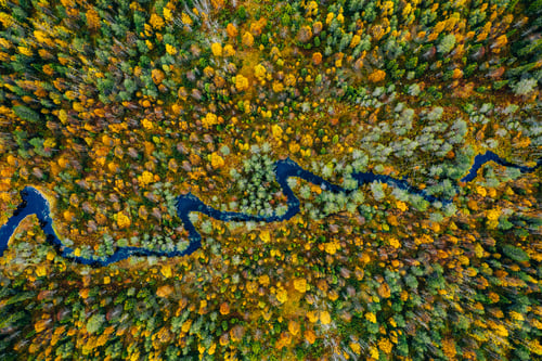 Preview: Aerial view of blue winding river in fall autumn color forest in Finland Lapland