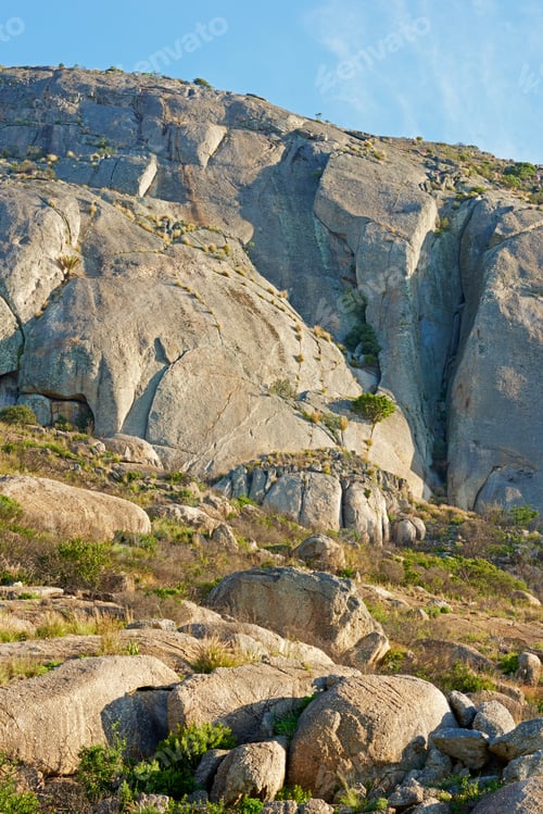 Preview: Nature - Cape Town area