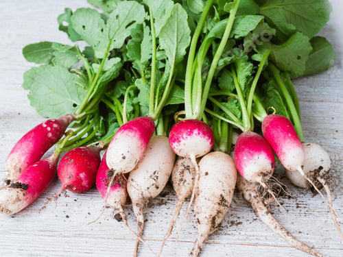 Preview: Radishes