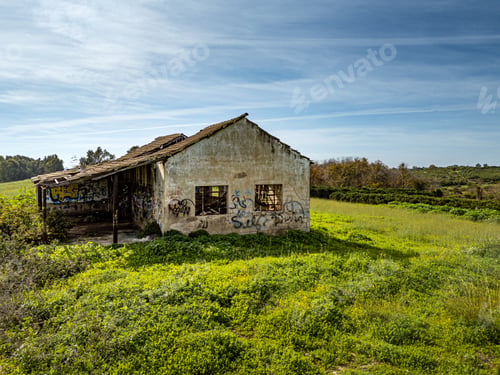 Preview: a stone cottage in a lush green pasture with vines and bushes around it