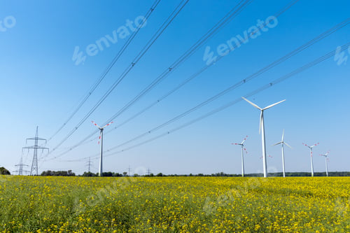 Preview: Field of rapeseed with high-voltage lines and wind turbines