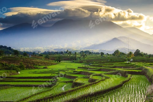 Preview: Beautiful mornings in the mountains and rice fields in Bengkulu, Indonesia