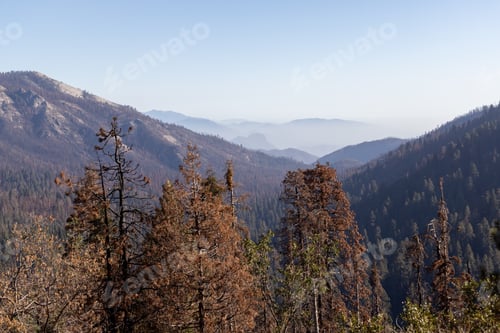 Preview: Mountain landscape in Yosemite National Park