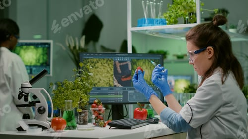 Preview: Scientist injecting strawberry with pesticides discovery genetic mutation