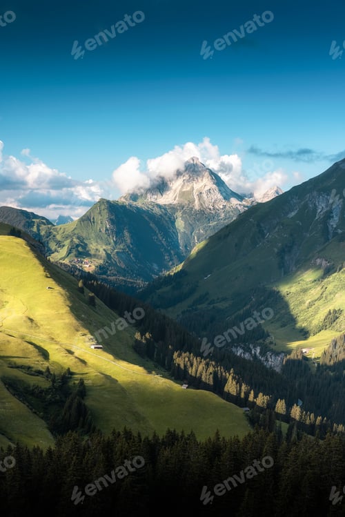 Preview: Green alpine valley leading to Biberkopf peak in Austria