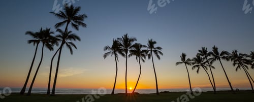 Preview: Tropical beach