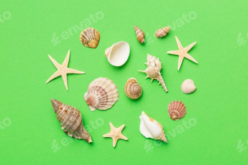 Preview: Summer time concept Flat lay composition with beautiful starfish and sea shells on colored table