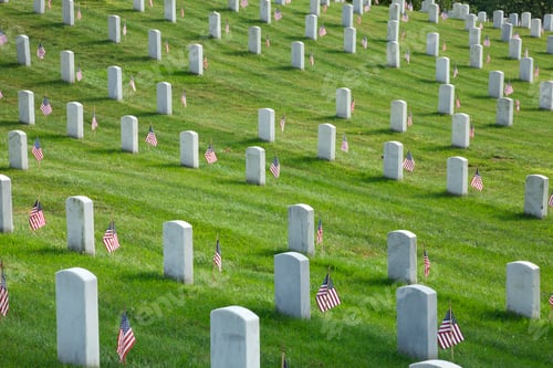 Preview: Tombstones with American Flags on Memorial Day at Arlington National Cemetery