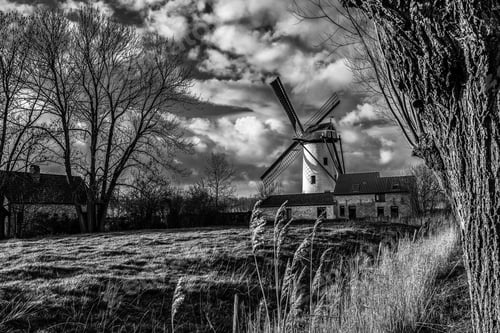 Preview: Grayscale shot of a windmill next to a field