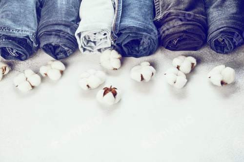 Preview: Row of rolled jeans and cotton flowers on light background