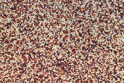 Preview: Seeds of uncooked quinoa