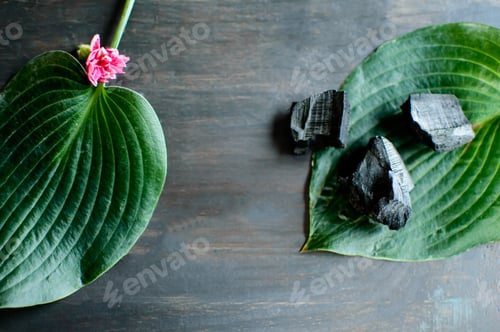 Preview: Charcoal and leaves flat lay health and wellness background