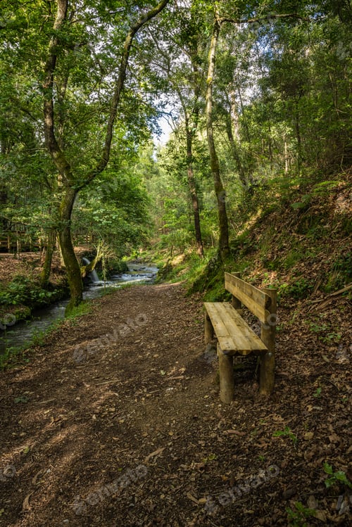Preview: Wooden bench on the bank of the river Lourido in the park of the fountain of Stanislaus