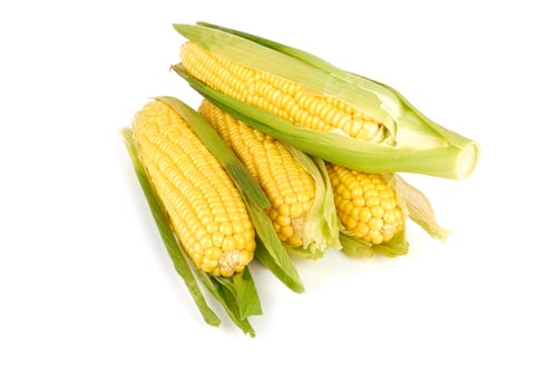 Preview: Fresh Yellow Corn Cobs with Green Husks