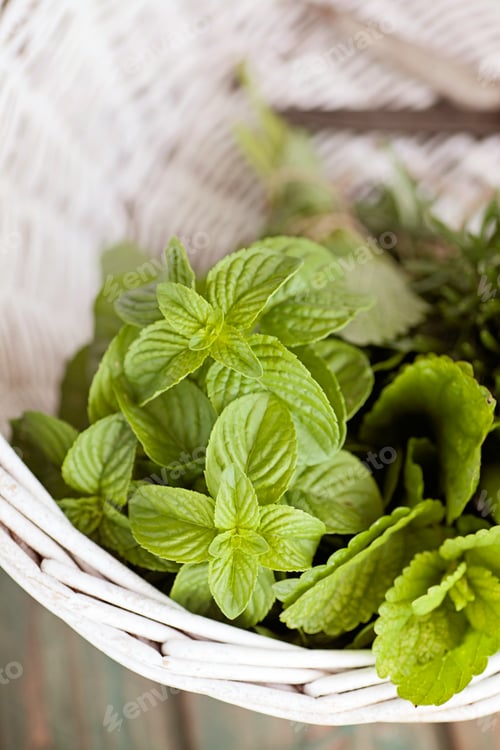 Preview: Herbs