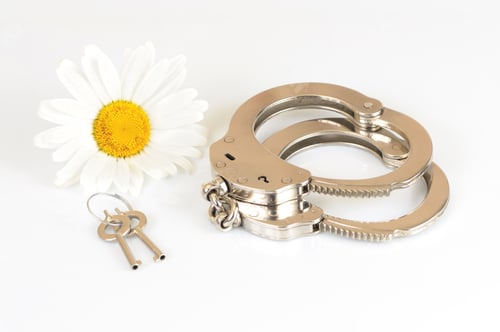 Preview: Close-up of metal handcuffs, keys and chamomile flower
