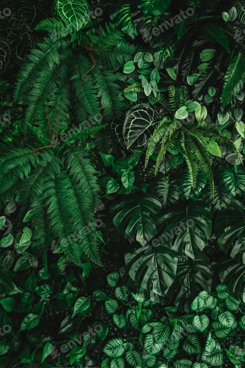 Preview: Close-up of a group of green leaves, providing a textured and abstract nature background.
