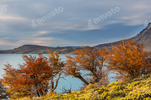 Preview: Autumn in Perito Moreno