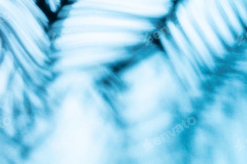 Preview: Palm leaves and shadows on a color wall background.