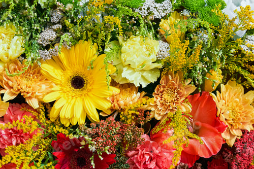 Preview: Bunch of colorful flowers. Top view