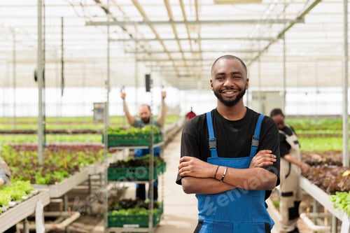 Preview: Portrait of smiling african american in modern greenhouse with workers preparing crates of food