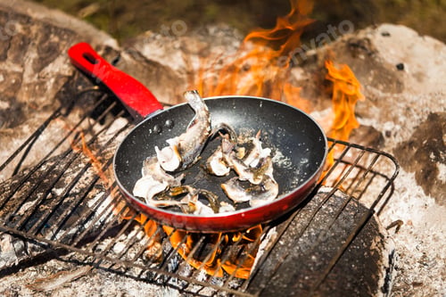 Preview: Small Trouts Cooking on a Campfire