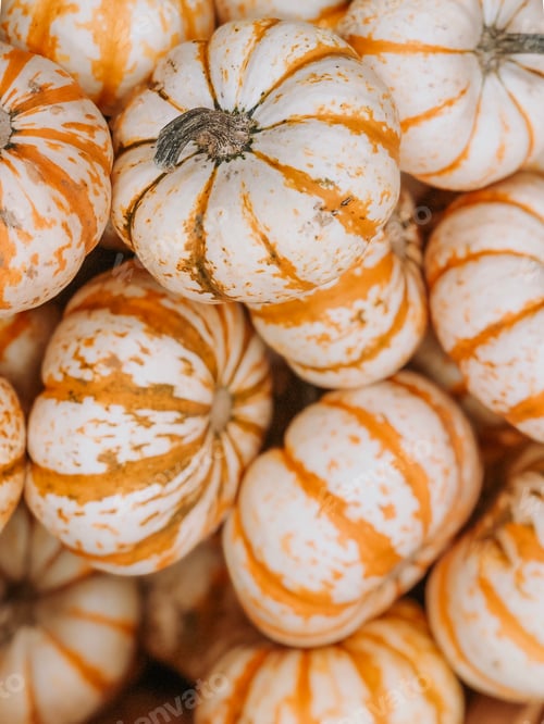Preview: Pumpkins