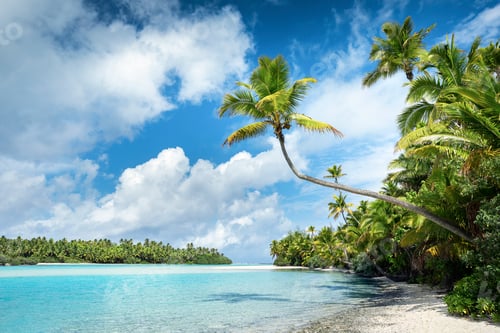 Preview: Curved Palm Over Lagoon in Aitutaki