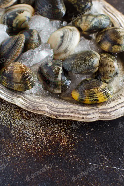 Preview: Metal tray with raw fresh vongole clams