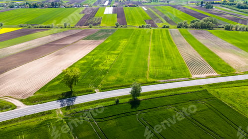 Preview: Colorful agriculture farmland and crop fields. Aerial drone view