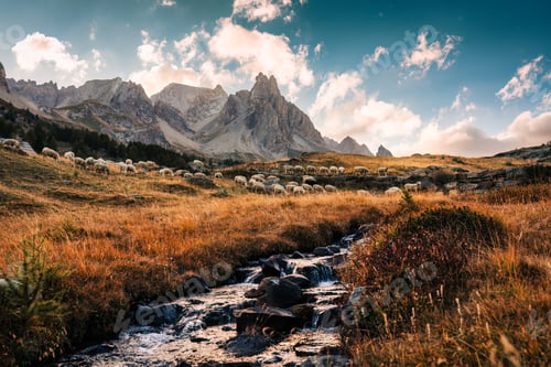 Preview: Claree valley with Massif Des Cerces and flock of sheep grazing on pasture in autumn at France