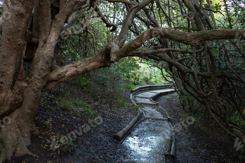 Preview: nature trail,Stanford, Western Cape, South Africa