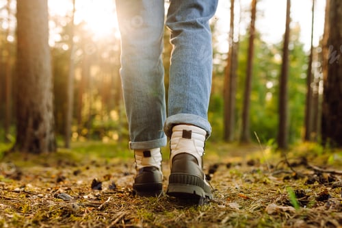Preview: Hiker's boots stepping on a blanket of fallen autumnal orange leaves in the forest. Travel