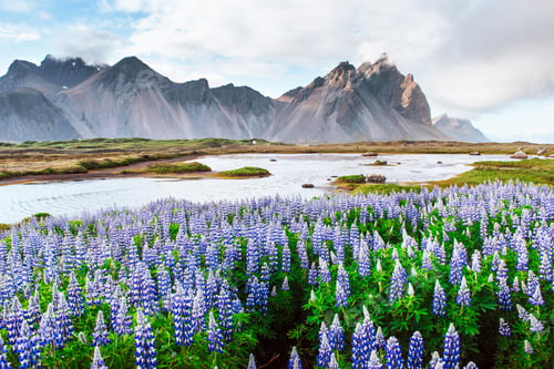 Preview: Picturesque views of the river and mountains in Iceland