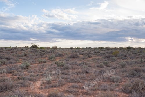 Preview: Barren Scenery