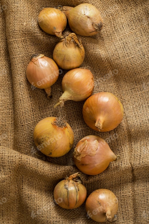 Preview: Onion on blanket