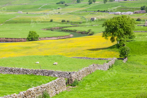 Preview: Yorkshire Dales Agricultural Landscape