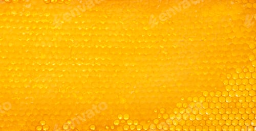 Preview: Fresh comb honey background texture