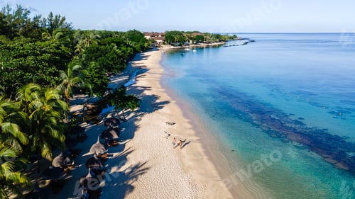 Preview: Discover the tranquil beaches of Triolet, Mauritius with palm trees and serene waters