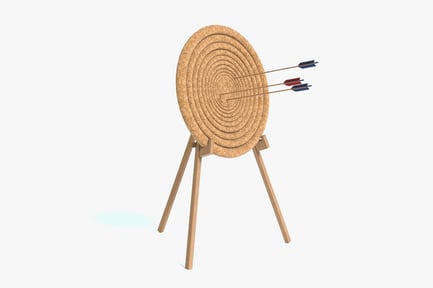 Preview: Hay Bale Archery Target with Arrows