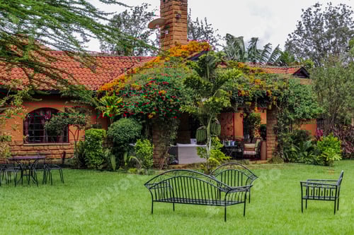 Preview: Exterior Outdoors Home Green