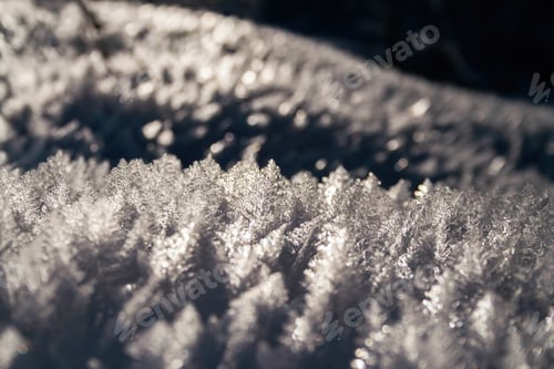 Preview: Backlit ice crystal on the snow in winter nature backlit by evening sun
