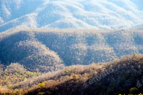 Preview: Summer landscape of mountain forest at sunset, India.