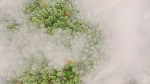 Preview: Aerial View 4K Flight Above Amazing Misty Forest Landscape. Scenic View Of Autumn Foggy Morning In
